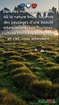 Miniature YouTube : Les Pozzines de Corse : Plaines Tourbeuses, Lacs Cachés et Paysages Sauvages à Explorer