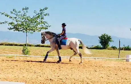 Photo de CEPE Ruiz Esteban
