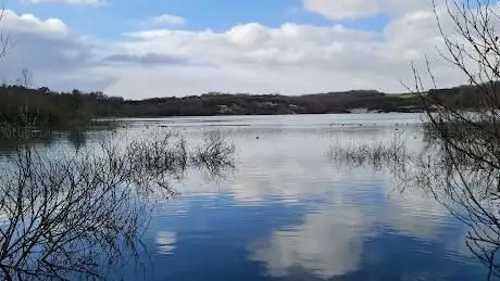 Meeth Quarry Nature Reserve (DWT)