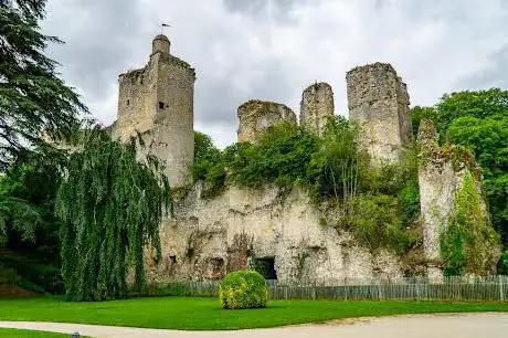 Photo de Château de Vendôme