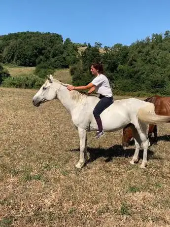 Photo de A.S.D. Rocchette Riding Club