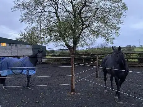 Photo de Beechgrove Equestrian Centre