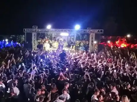 Photo de JUNGLE DISCO