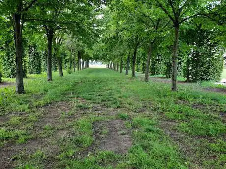 Photo de Villa Farsetti