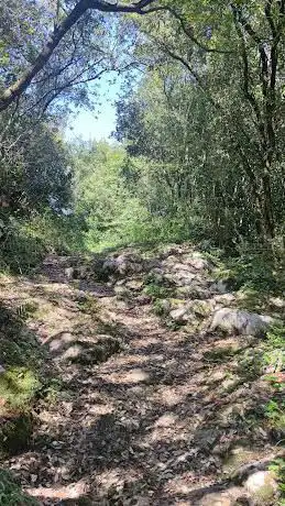 Photo de Cueva de la Baja