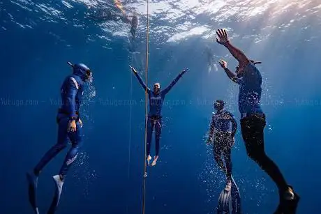Blue Embrace Freediving