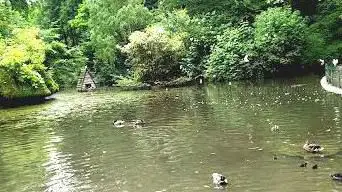 Mare aux canards