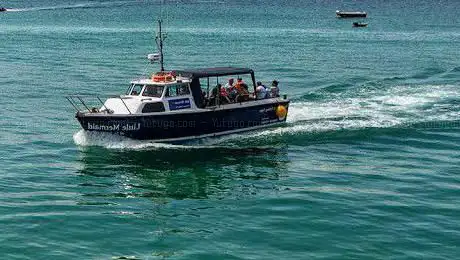 St. Ives Sea Trips