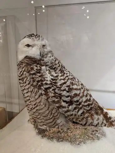 Photo de George B. Dorr Museum of Natural History