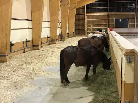 Photo de Sports Equestres Belle Ferme