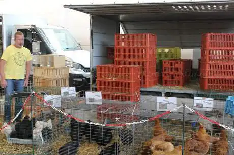 Ausstellungsgelände an der Mehrzweckhalle Prüm