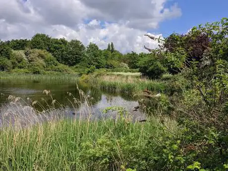 Photo de WaterWorks Centre Nature Reserve & Middlesex Filter Beds