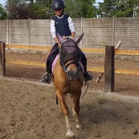 Photo de Kennedy Equestrian