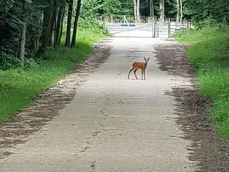 Photo de Hungry Hill
