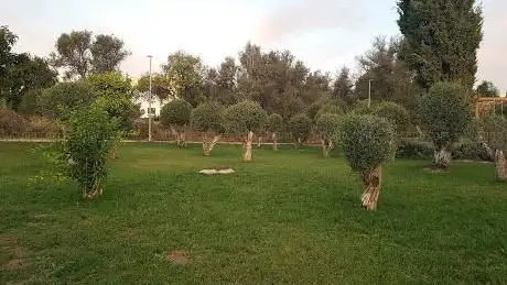 Photo de TataMiko Park