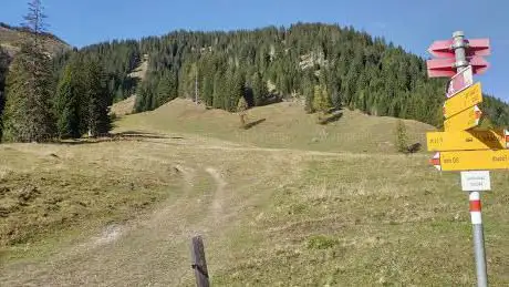 Laubenzug
