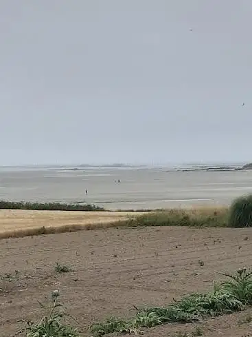 Photo de Observatoire ornithologique