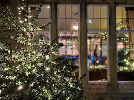 Photo de Peterborough Christmas Trees