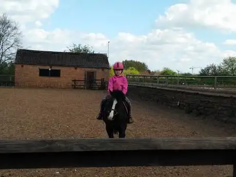 Photo de All Work Equestrian