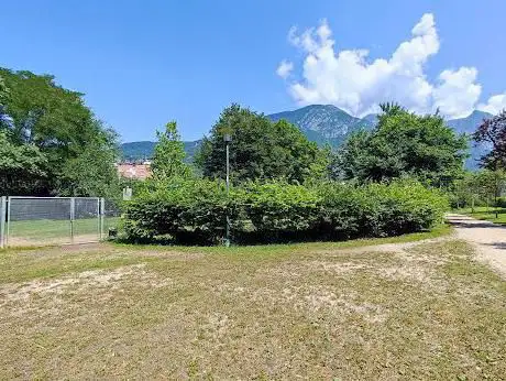 Ãrea cani