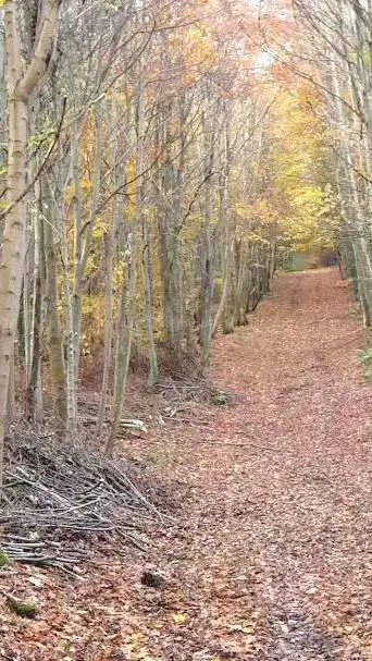 Mont de Soreng