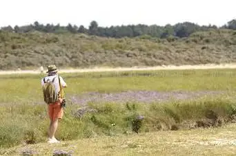 Photo de Baie de Somme Exploration