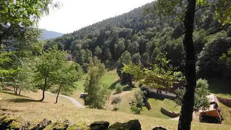 Photo de source des corbeaux
