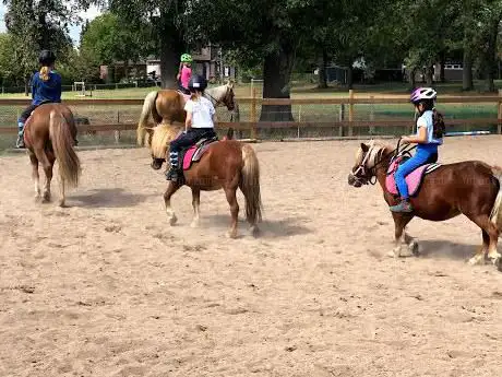 Pony Ponderosa