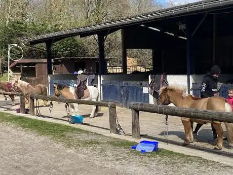 Photo de Les Ecuries d'Ergal