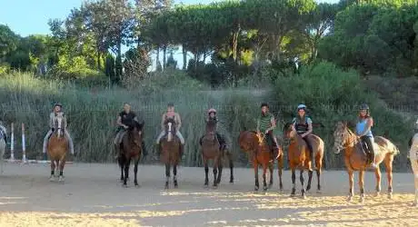 Clube Equestre A Palmeirinha