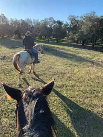 Photo de Salento Wild Ranch