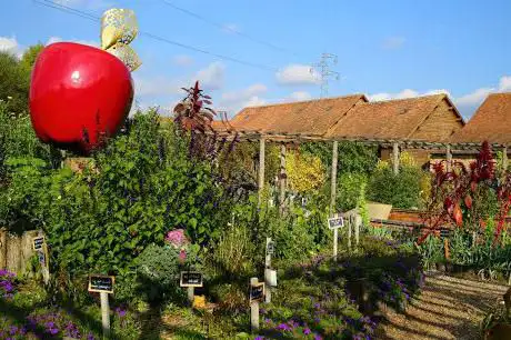 Le jardin potager (Arche de la Nature)