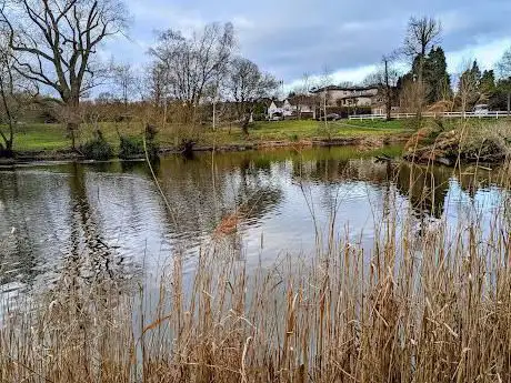 Photo de Prickend Pond - Chislehurst Commons