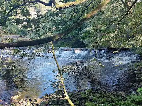 Calder weir