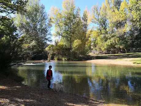 Photo de Noria de agua