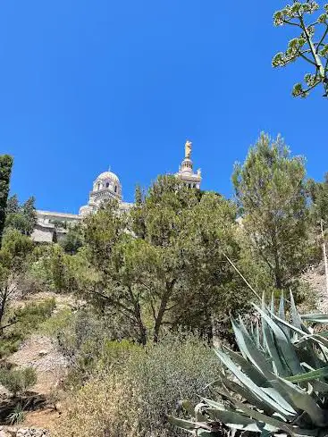 Chemin du bois sacré