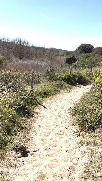 Sendero al Cementerio Americano de NormandÃ­a
