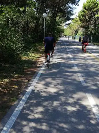 Photo de Pista ciclabile nella Pineta