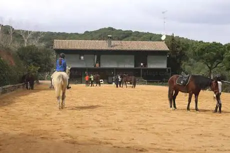 Photo de Centro Ecuestre Horseway - Equitación Conectada & Doma Natural