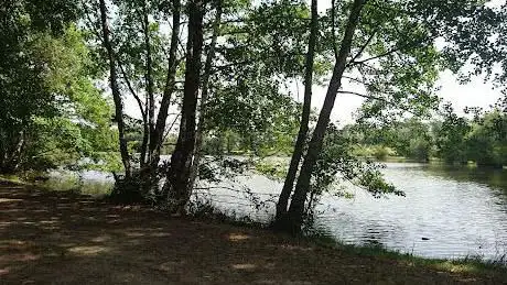 Photo de Étang de La Châtre l'Anglin