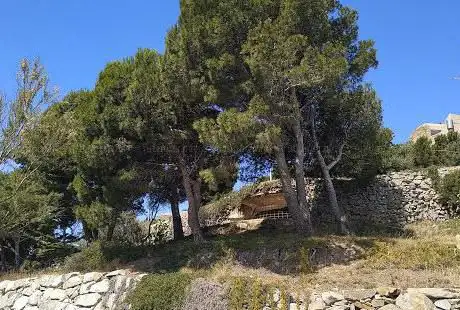 Photo de Bunkers
