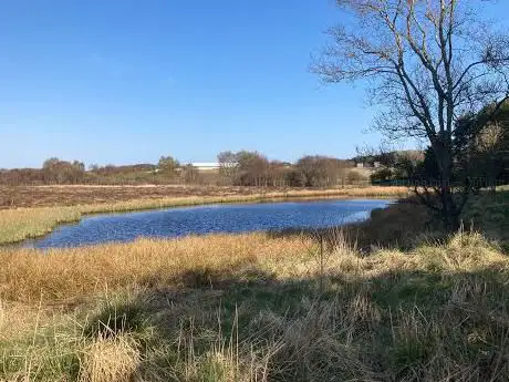 Photo de Tailend Moss Wildlife Reserve