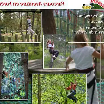 Adventure Forest