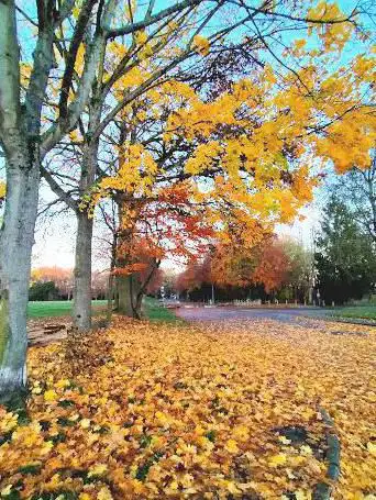 Photo de Plaine de la Hêtraie