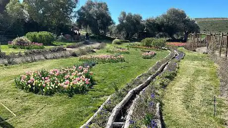 Il giardino di Turri