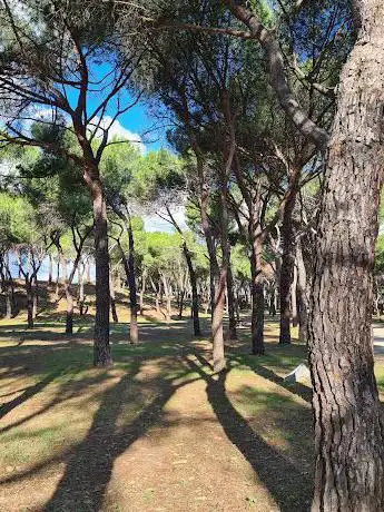 Photo de El Pinar Park