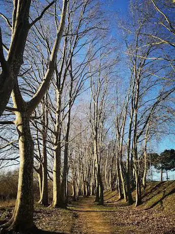Photo de Passeig de les Oques