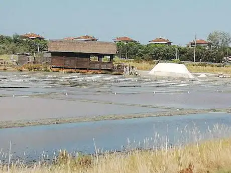 Photo de Spiaggia della Salicornia di Lido di Dante