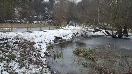 Photo de Marconi Ponds Nature Reserve
