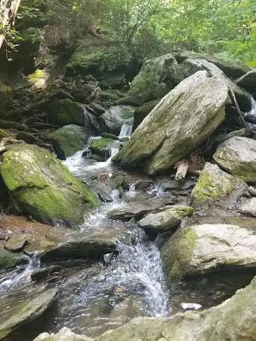 Photo de Holtwood Nature Preserve